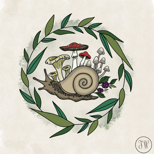 Snail & Fungi