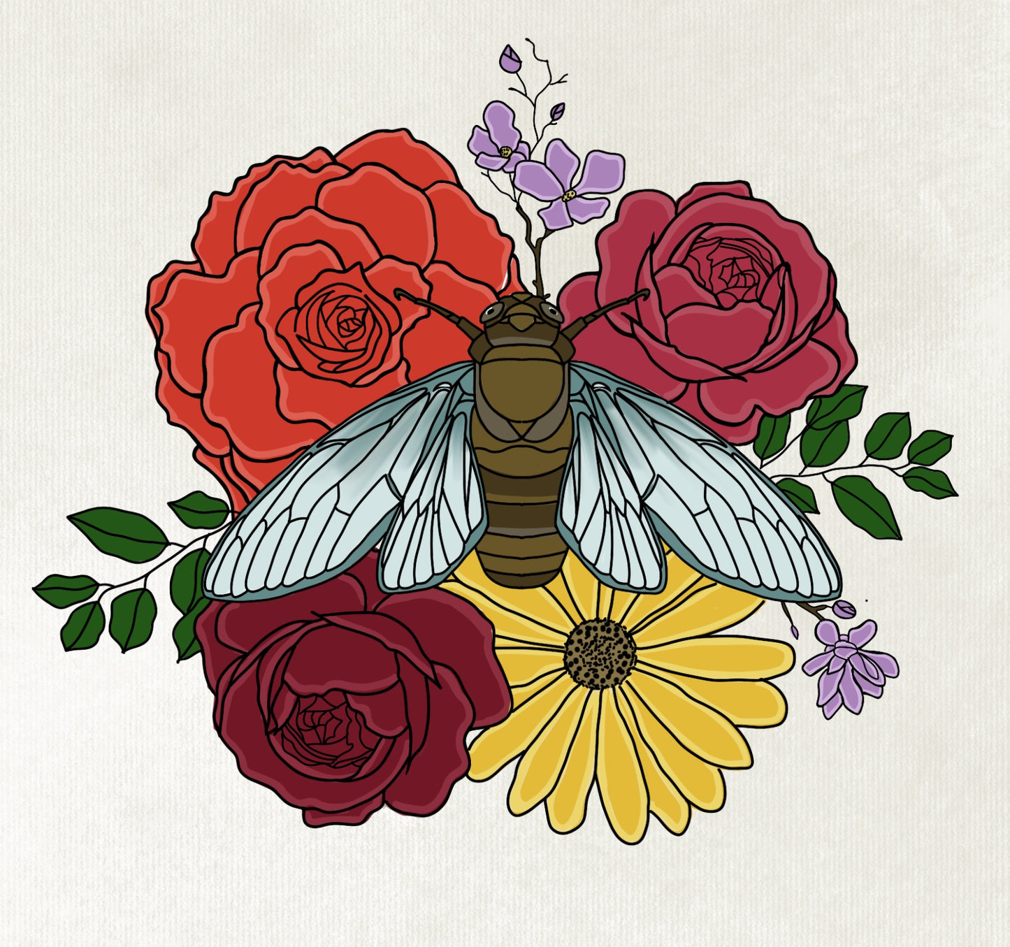Cicada