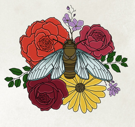 Cicada